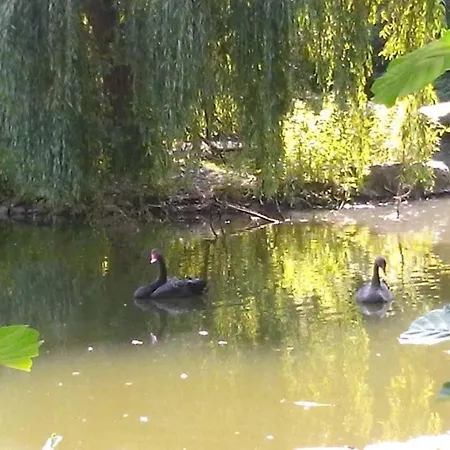 Appartement Iserbachtal Braunfels