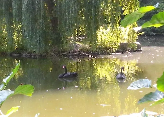 Apartman Iserbachtal Braunfels